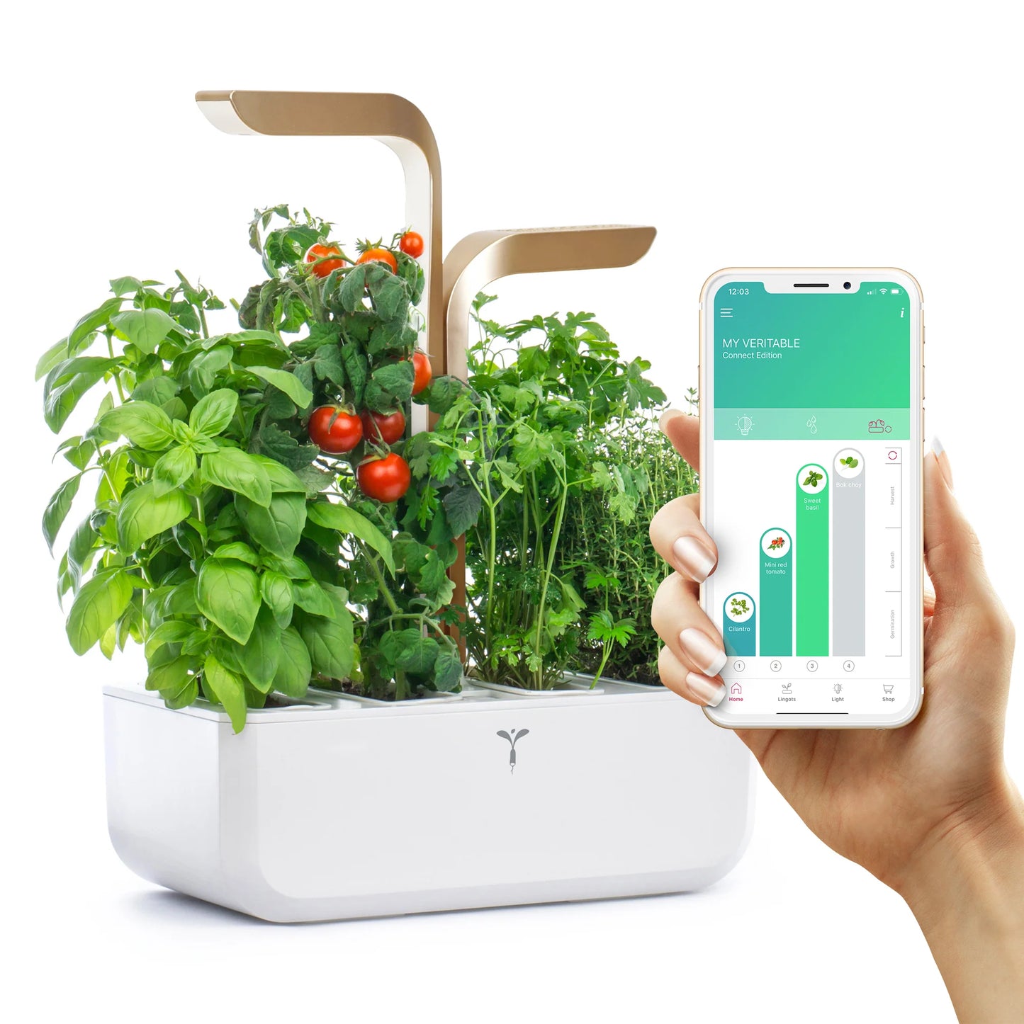 VERITABLE Connect Indoor Garden