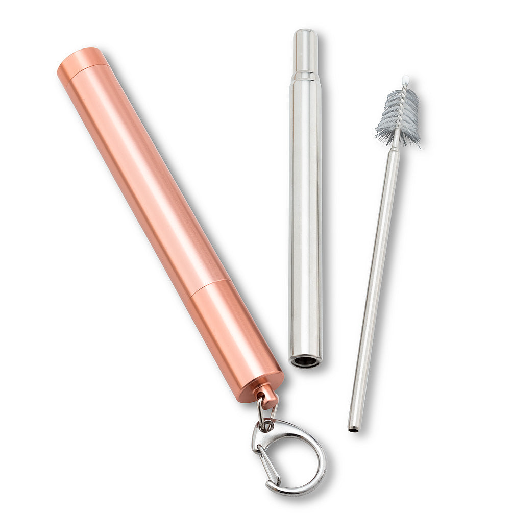 ABBOTT Collapsible Straw Set