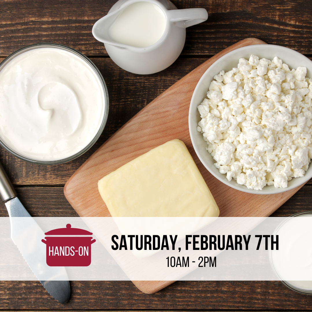 Homemade Dairy Workshop 202 with Paula